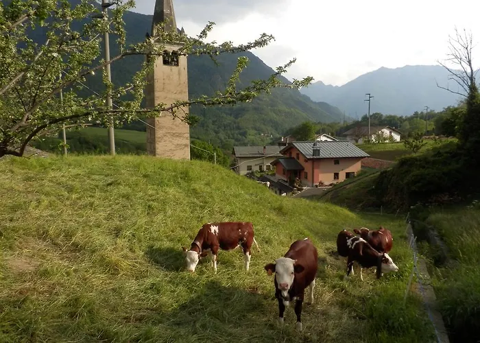 Victoret בית הארחה 3*